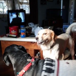 Meet your Posher, Matthew